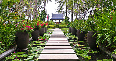 An image of a beautiful garden in Koh Samui 